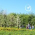 Pflanzen Sie Baum mit Growing Trees Network!