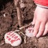 Pflanzen Sie Baum mit Growing Trees Network!